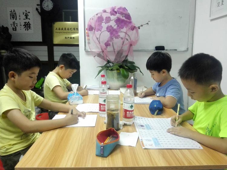 上海书法学习班平塘人家书法学习小组